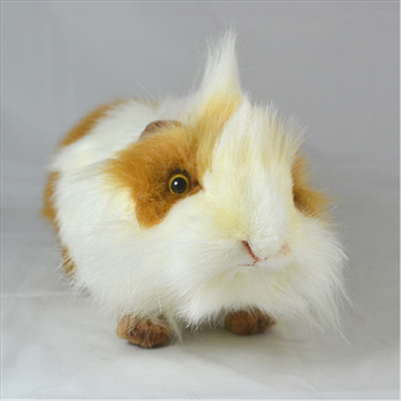Guinea Pig White And Brown 31cm/Product Detail/Action Figures & Dolls
