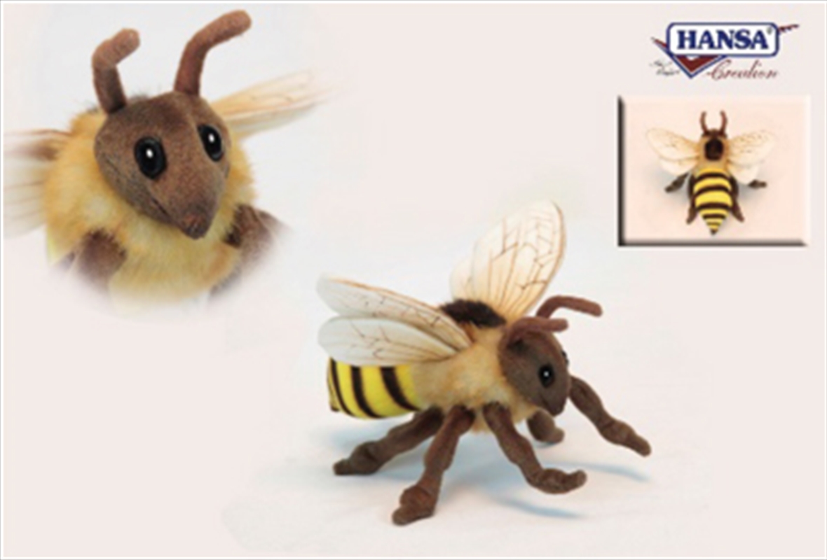 Honey Bee 22cm/Product Detail/Plush Toys