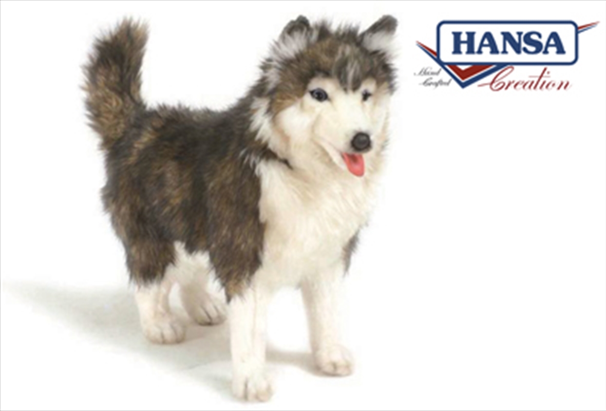 Husky Siberian Standing 40cm Toys, Toy Sanity