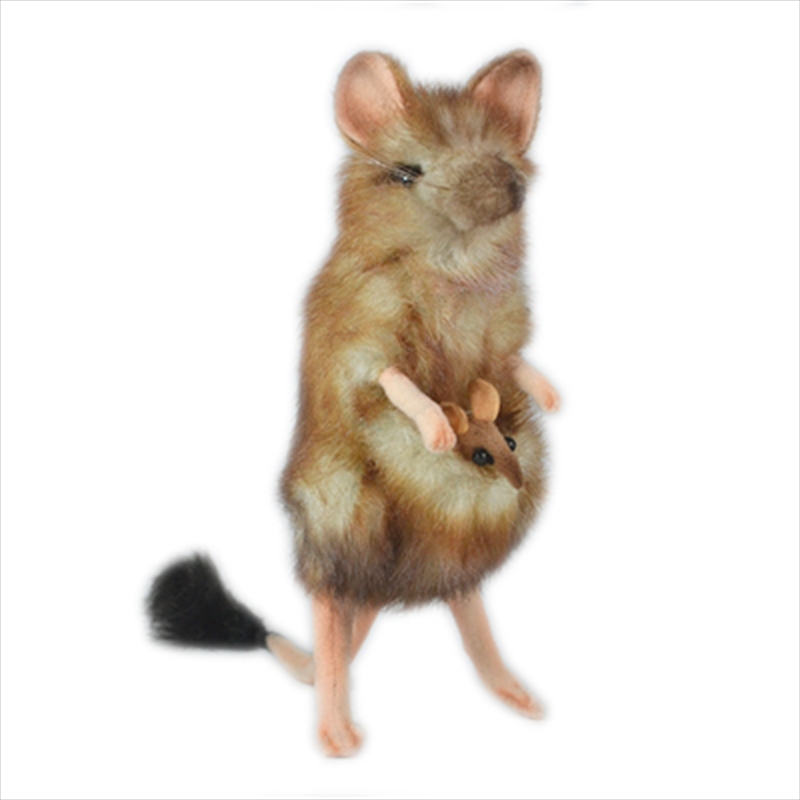 Marsupial Mouse 19cm/Product Detail/Plush Toys