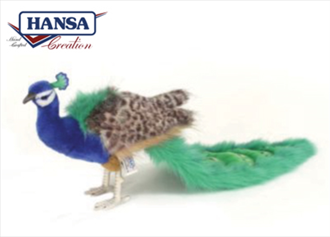 Peacock 24cm/Product Detail/Plush Toys