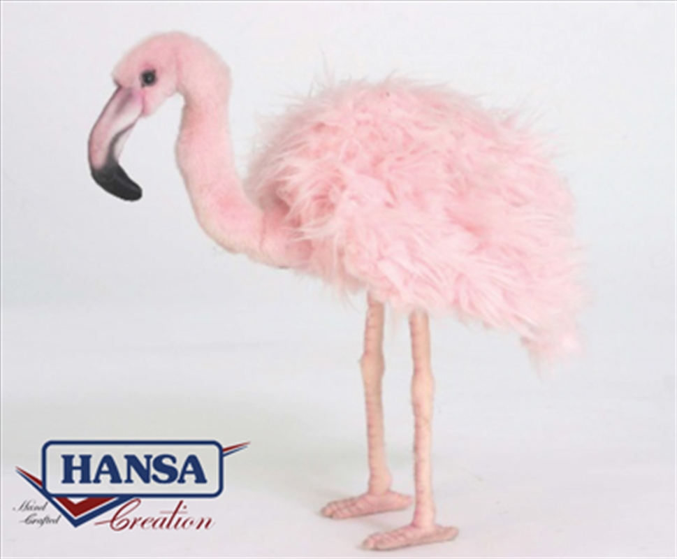 Pink Flamingo 38cm/Product Detail/Plush Toys