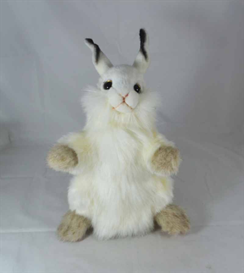 Puppet Rabbit 34cm/Product Detail/Action Figures & Dolls
