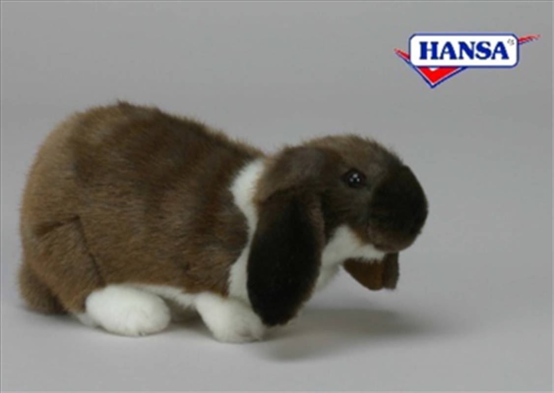 Rabbit German Lop Ear 25cm/Product Detail/Plush Toys