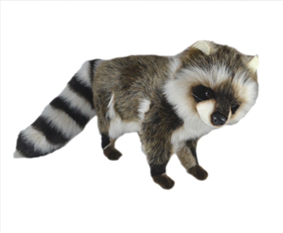 Racoon Standing 35cm/Product Detail/Action Figures & Dolls