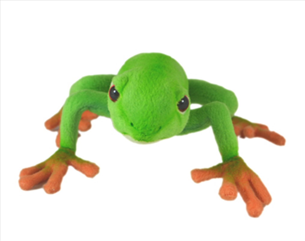 Red Eyed Tree Frog 17cm Large/Product Detail/Plush Toys