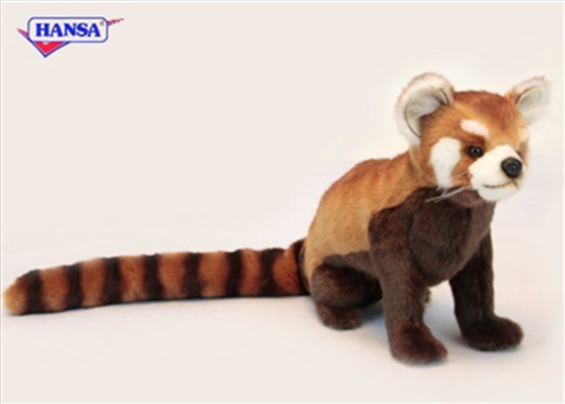 Red Panda Sitting 61cm/Product Detail/Plush Toys