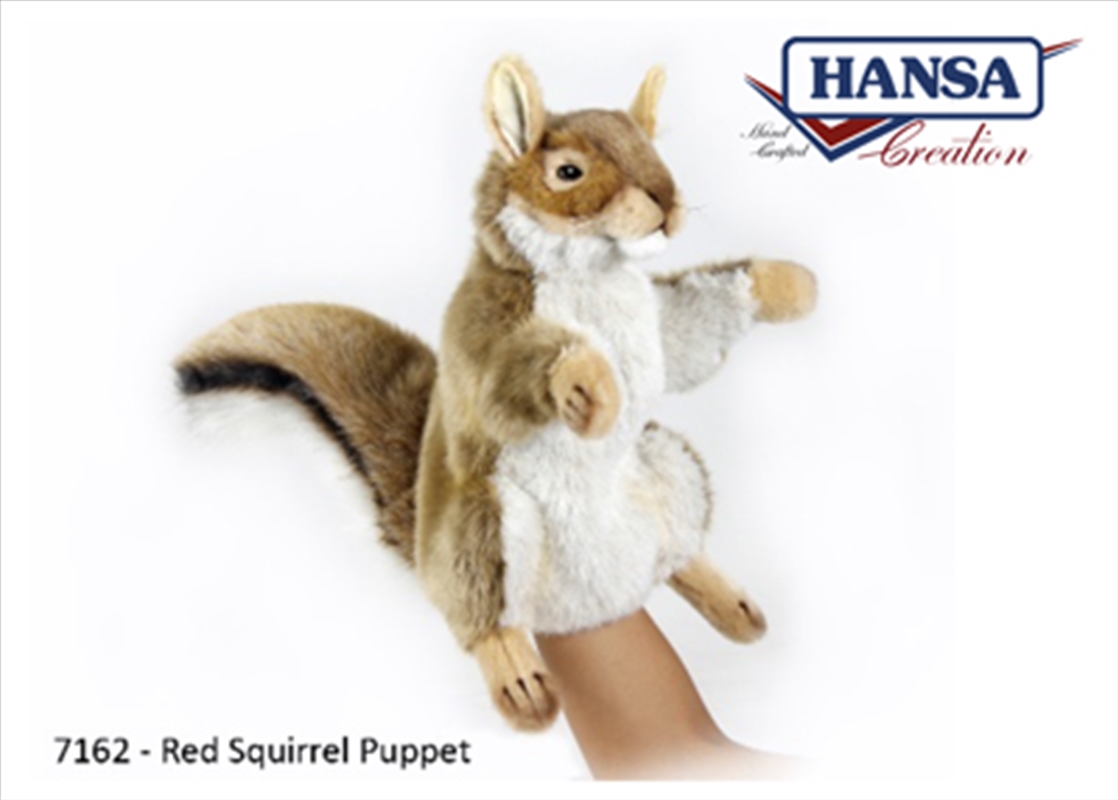 Red Squirrel Puppet 28cm/Product Detail/Action Figures & Dolls
