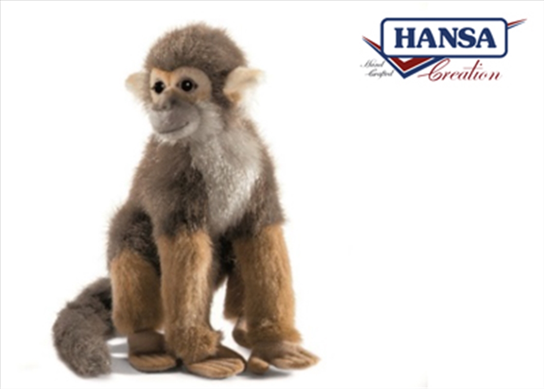 Squirrel Monkey 19cm/Product Detail/Plush Toys