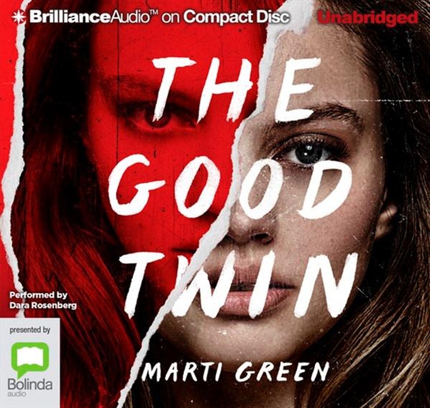 The Good Twin/Product Detail/Thrillers & Horror Books
