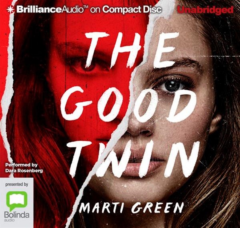 The Good Twin/Product Detail/Thrillers & Horror Books