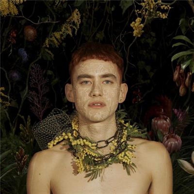 Palo Santo/Product Detail/Pop