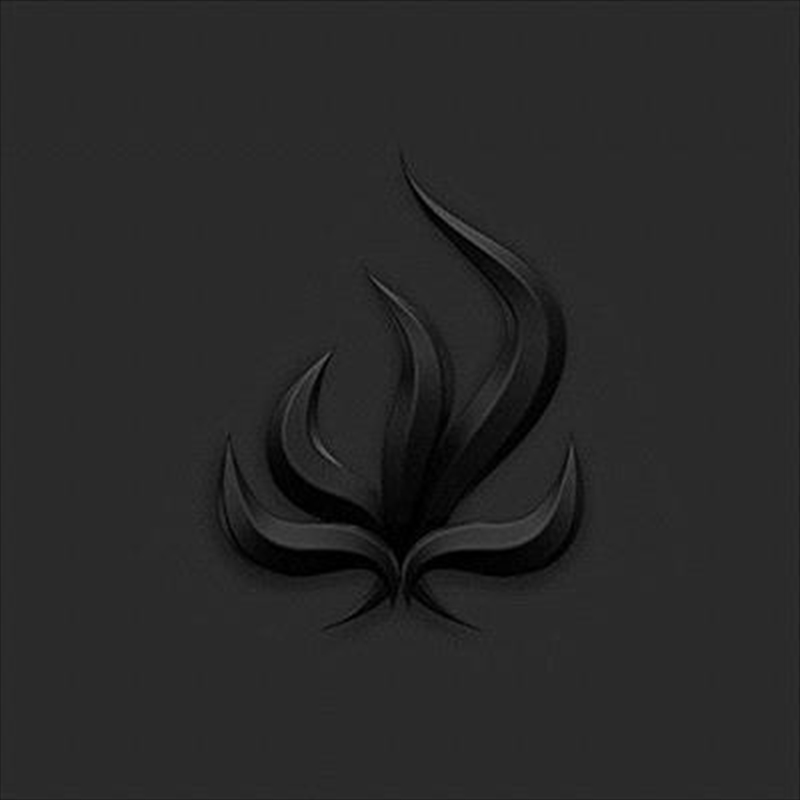 Black Fame/Product Detail/Metal