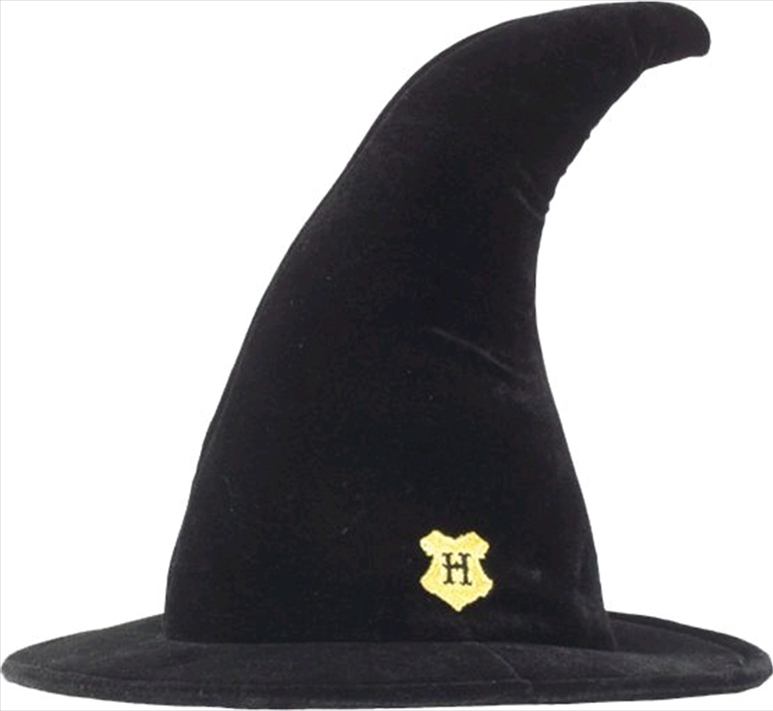Harry Potter - Hogwarts Student Hat Lge/Product Detail/Costumes