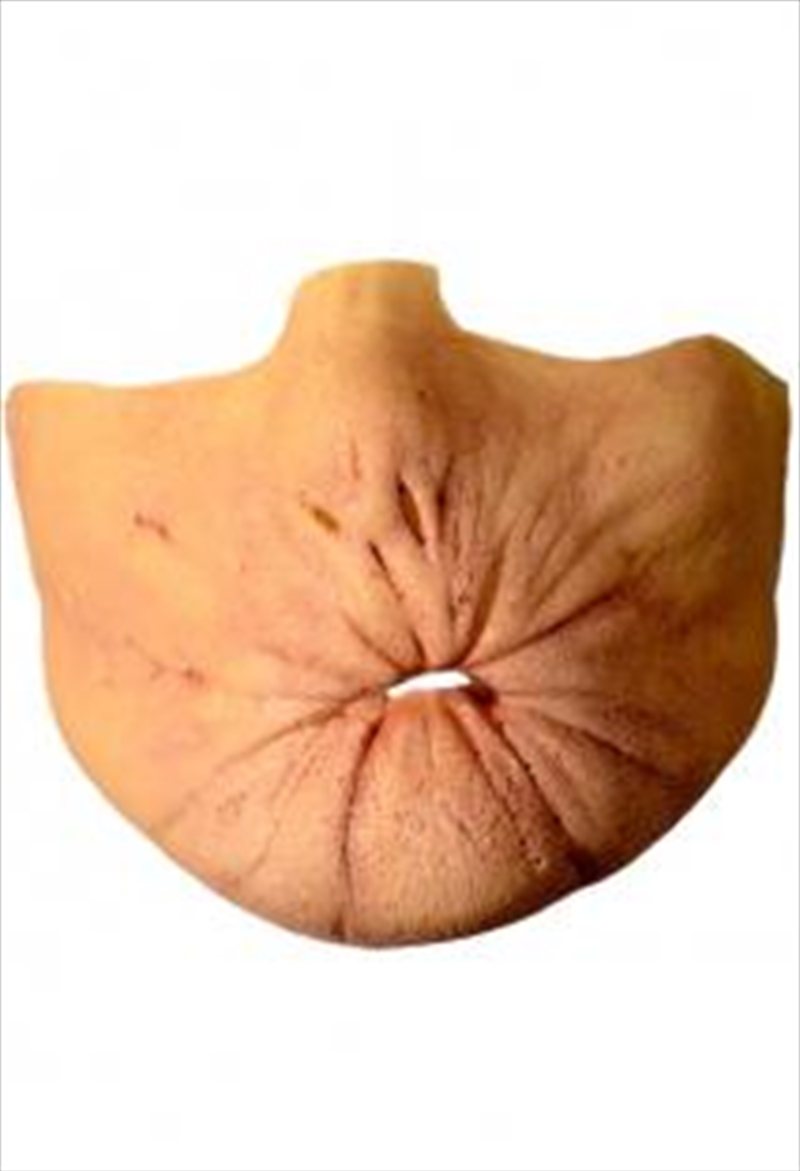 Arse Face Appliance Kit/Product Detail/Costumes