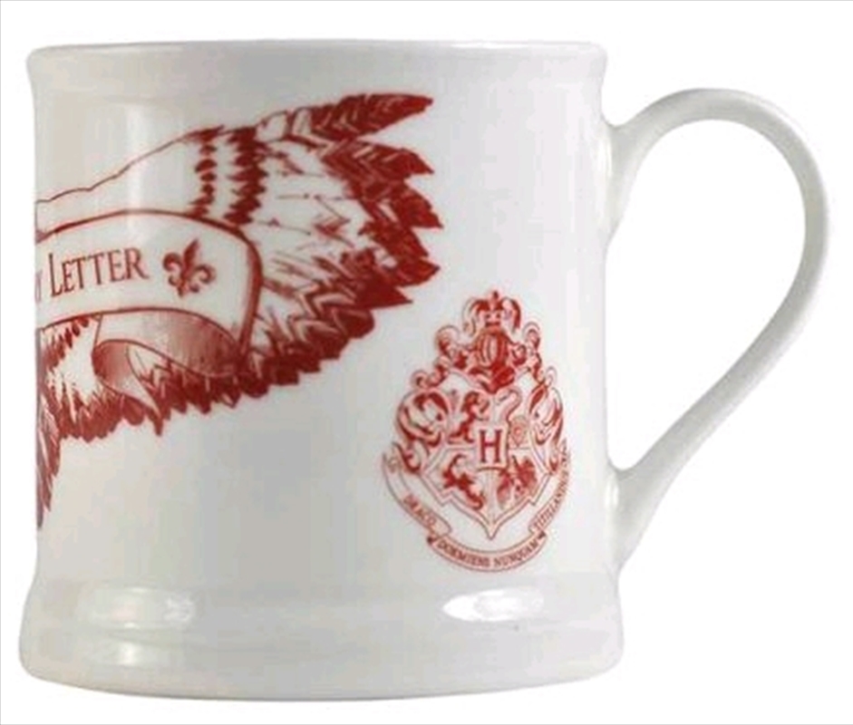 Harry Potter - Waiting for my Letter Boxed Vintage Mug | Merchandise