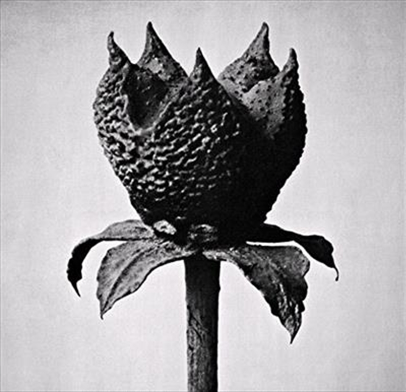 Book Of Life/Product Detail/Classical