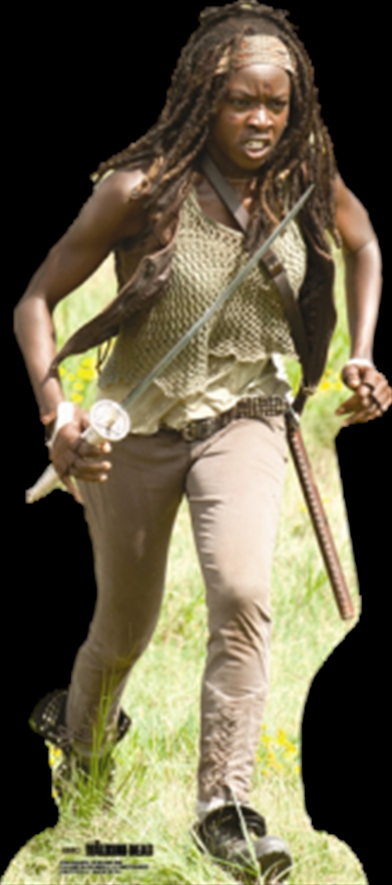 Michonne Cardboard Cutout | Collectable