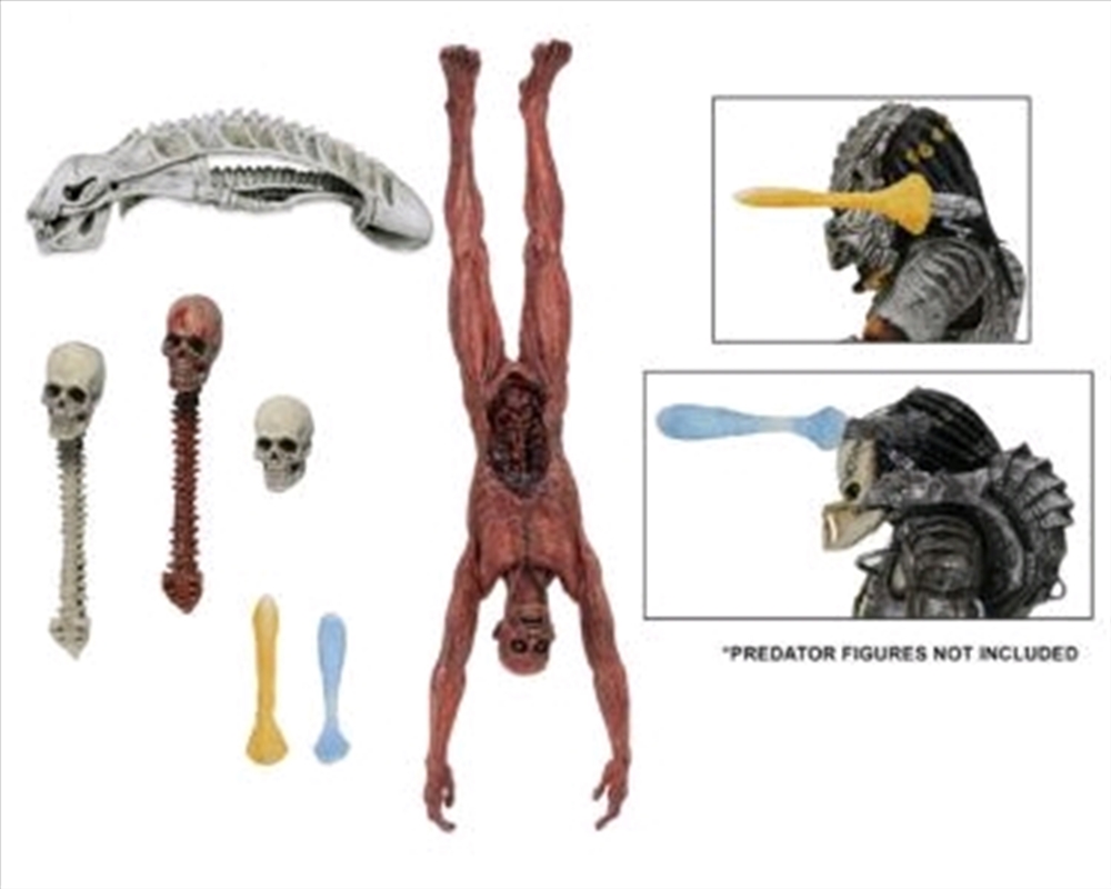 Predator - Deluxe Accessory Pack/Product Detail/Figurines