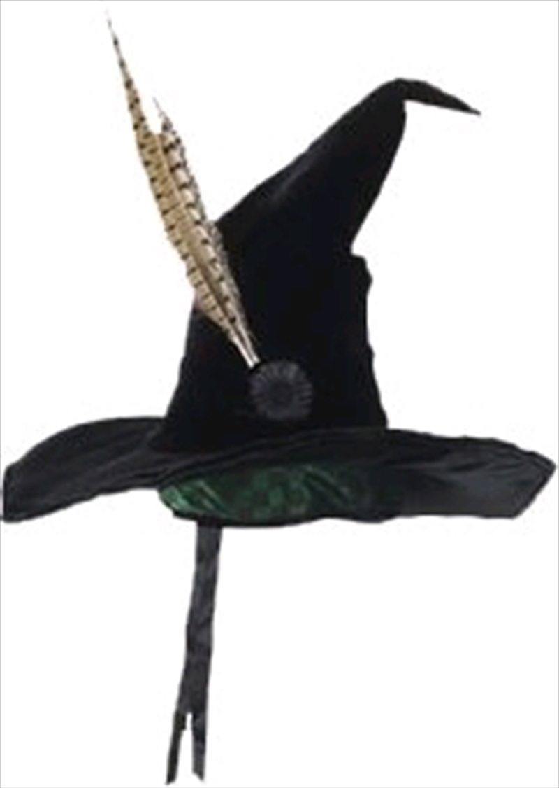 Harry Potter - Professor McGonagall Hat/Product Detail/Caps & Hats