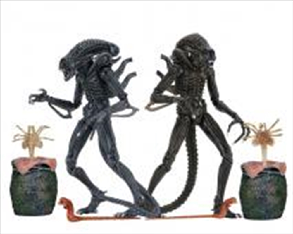 Aliens - 7" Ultimate Alien Warrior 1986 Action Figure Assortment/Product Detail/Figurines