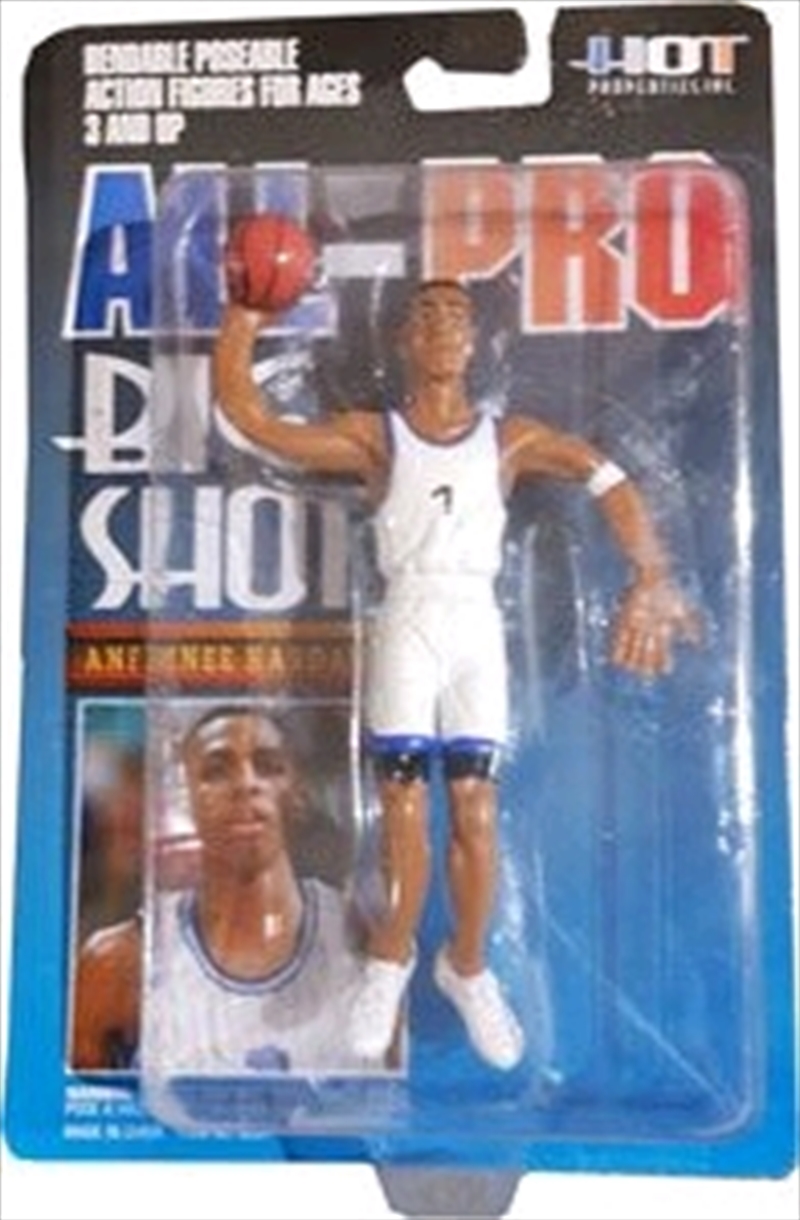 NBA - Anfernee Hardaway Bendable Figure/Product Detail/Figurines