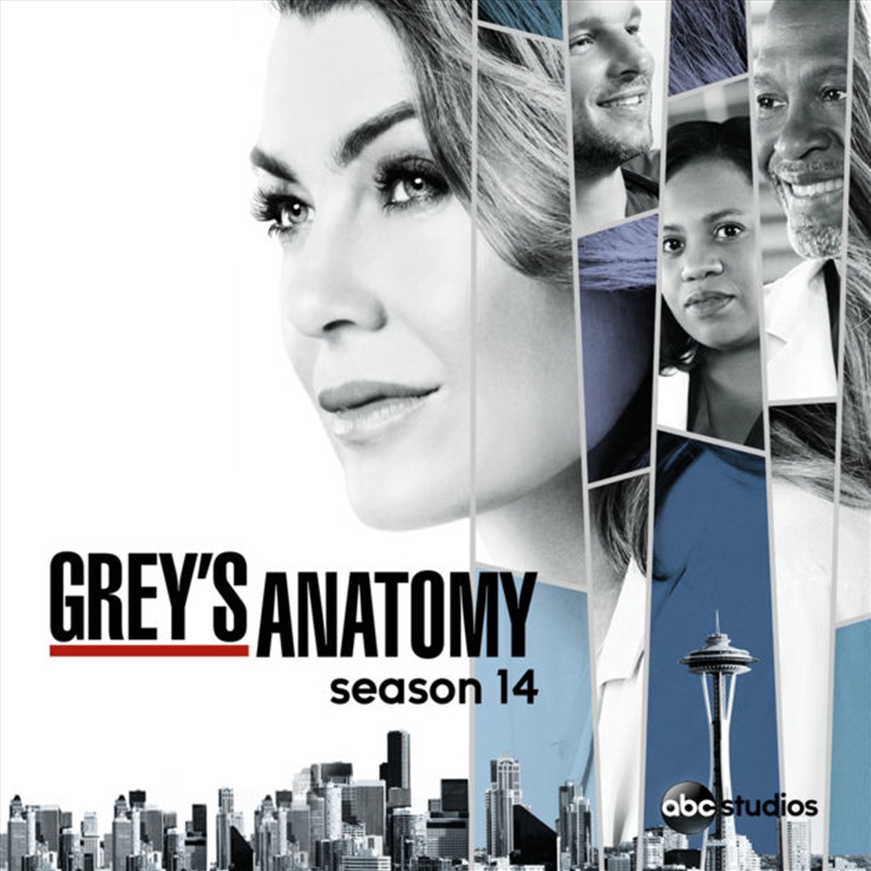 GreyS Anatomy Season 14 Stream GreyS Anatomy Season 14 Stream