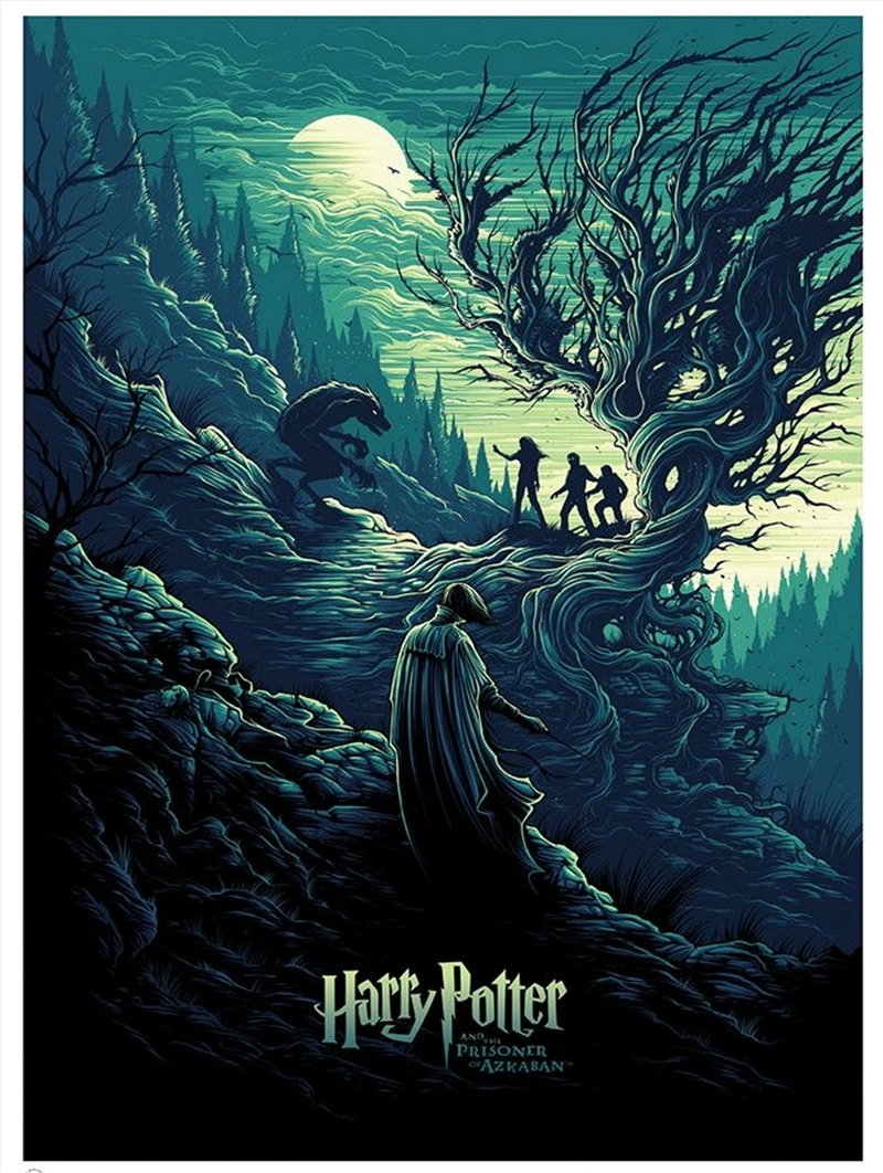 Harry Potter - Harry Potter & the Shadow of the Werewolf 18 x 24" Art Print/Product Detail/Posters & Prints
