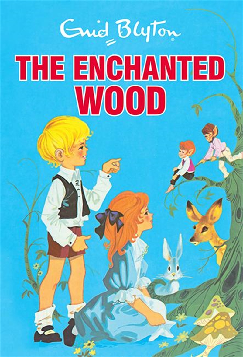 The Enchanted Wood/Product Detail/Childrens Fiction Books