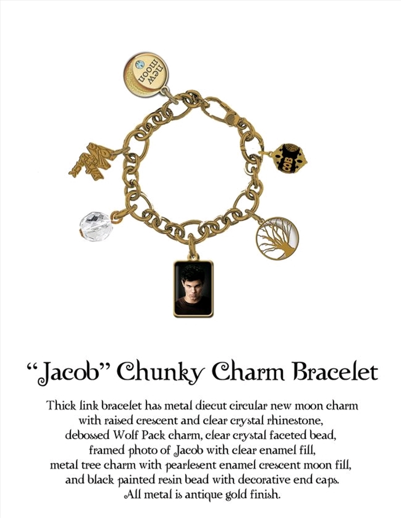 The Twilight Saga: New Moon - Jewellery Chunky Charm Bracelet Jacob/Product Detail/Jewellery