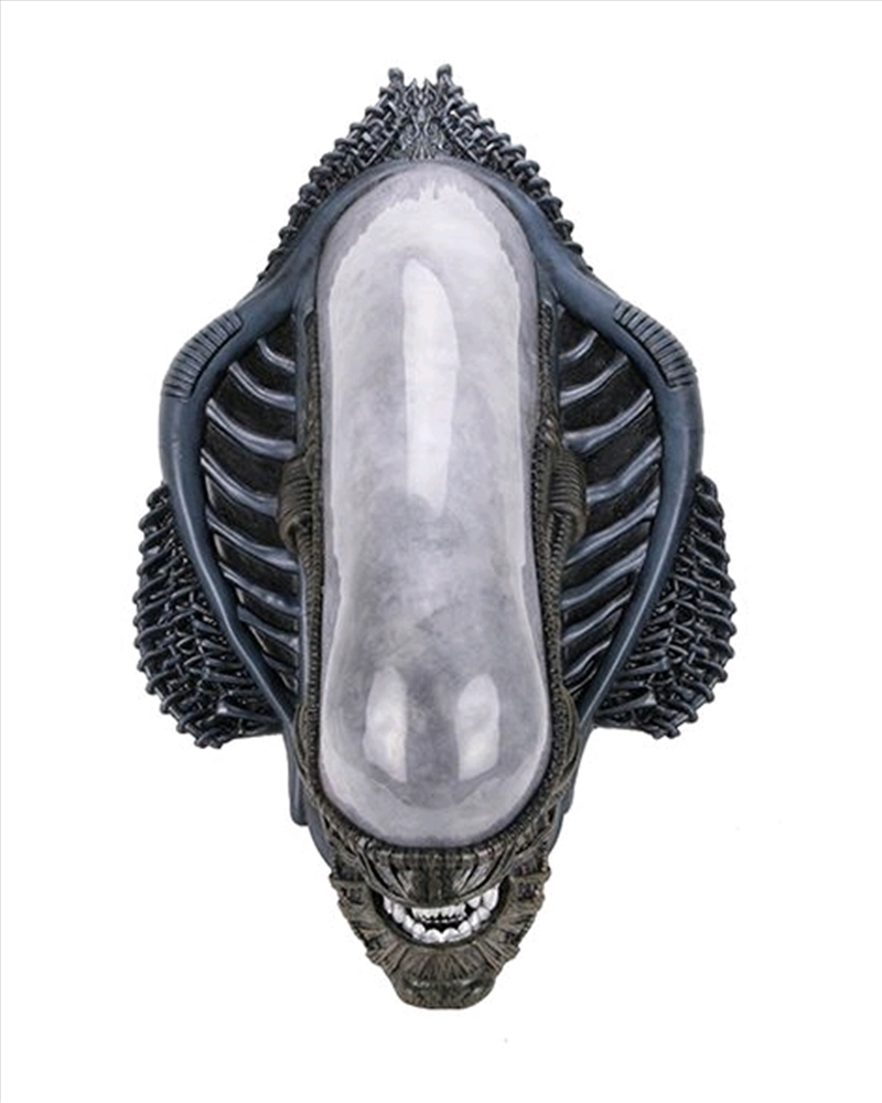 Alien - Xenomorph Foam Wall Mounted Bust/Product Detail/Busts