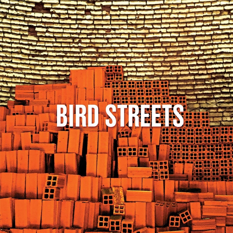 Bird Streets/Product Detail/Rock