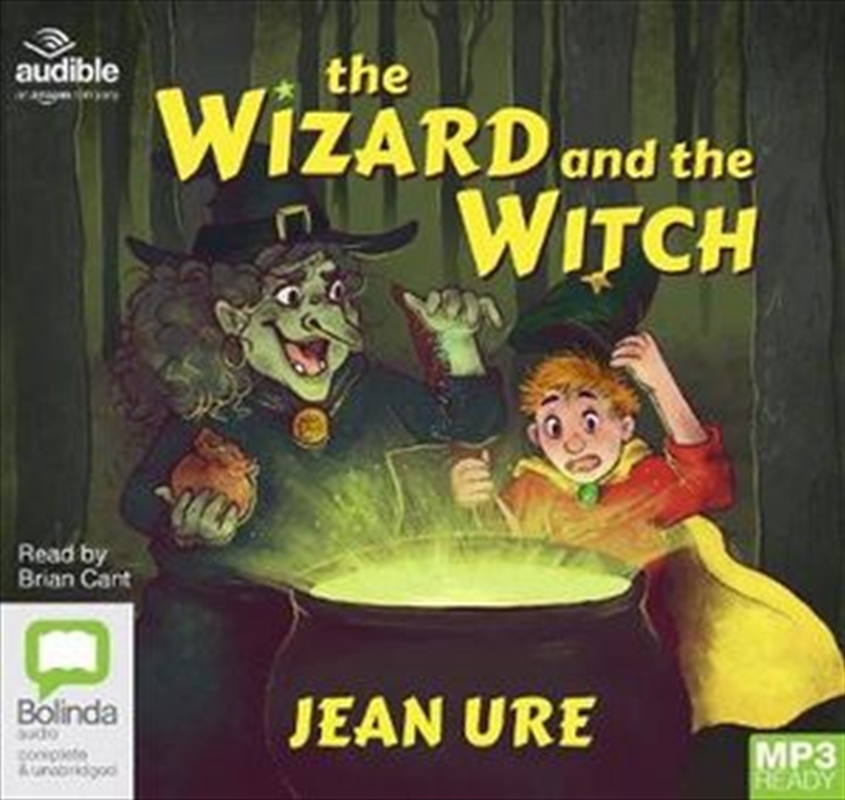 The Wizard and the Witch/Product Detail/Fantasy Fiction
