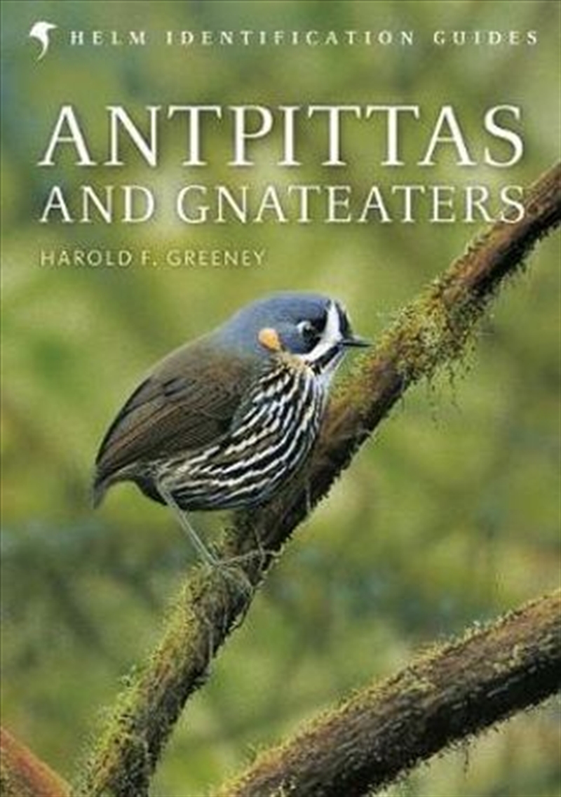 Antpittas/Product Detail/Reading