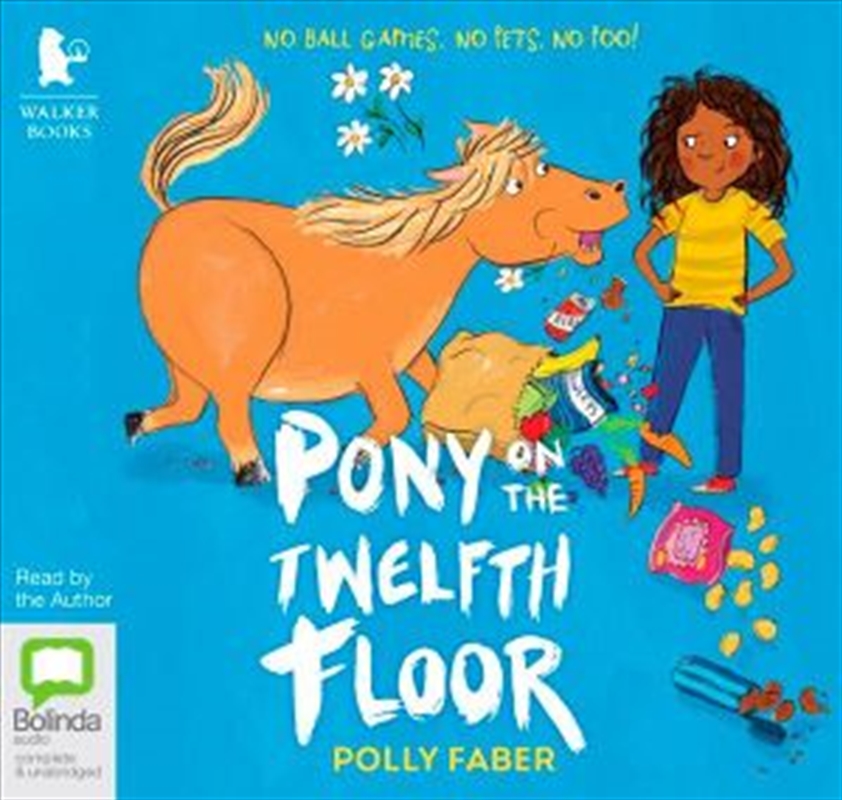 Pony on the Twelfth Floor/Product Detail/Childrens Fiction Books