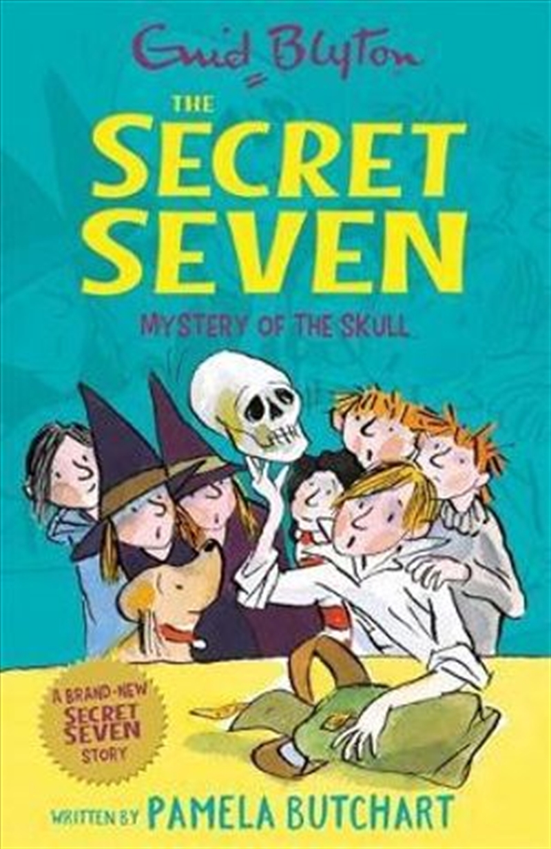 Secret Seven: Mystery of the Skull/Product Detail/Childrens Fiction Books