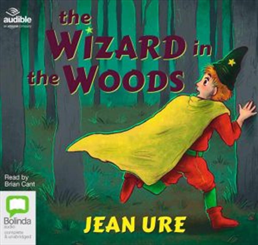 The Wizard in the Woods/Product Detail/Childrens Fiction Books