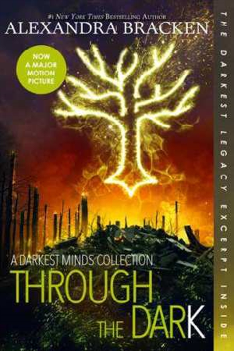 Through The Dark - A Darkest Minds Collection/Product Detail/Childrens Fiction Books