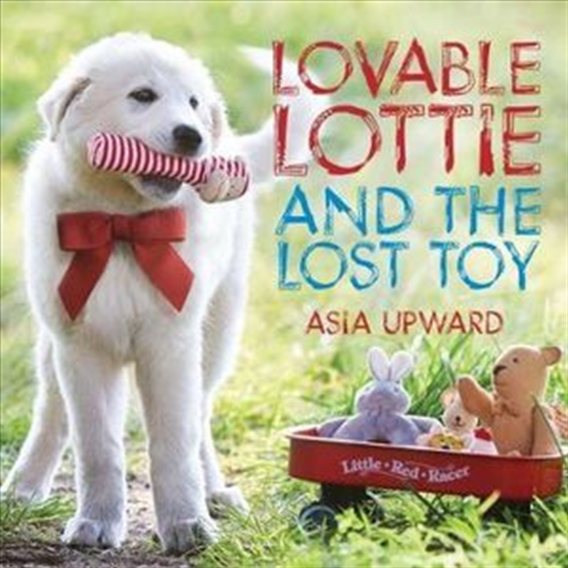 Buy Lovable Lottie And The Lost Toy by Asia Upward, Books Sanity