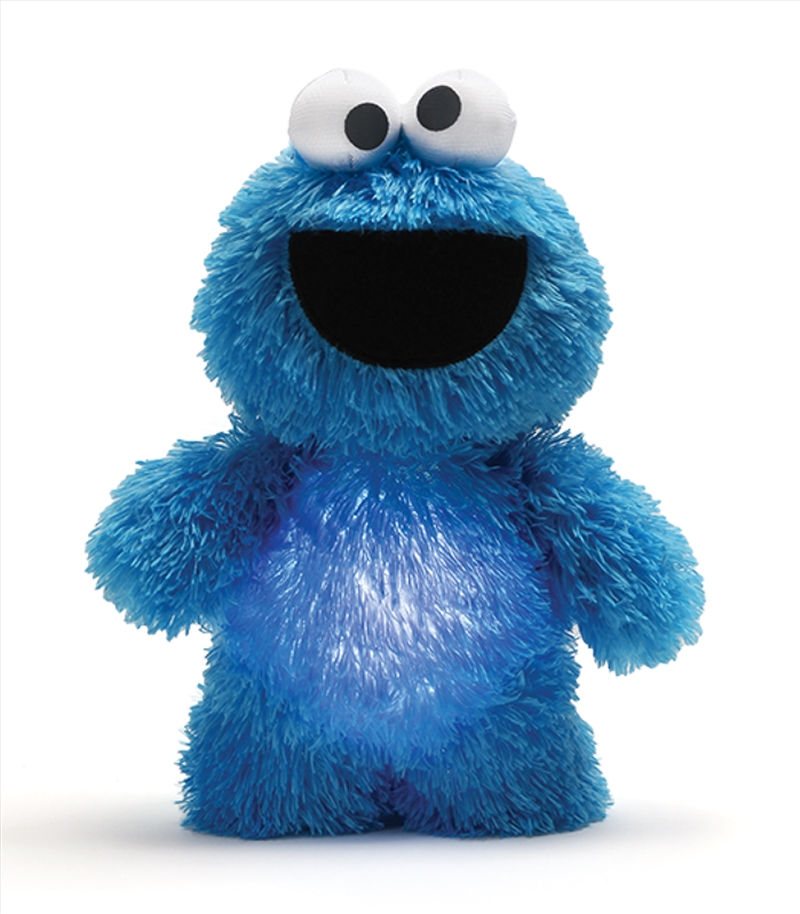Buy Sesame Street Cookie Monster Glow Pal Online Sanity
