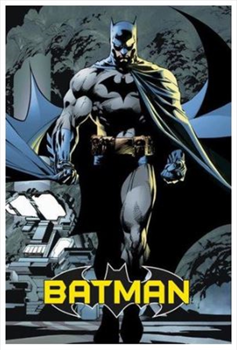 DC Comics - Batman Force Poster/Product Detail/Posters & Prints