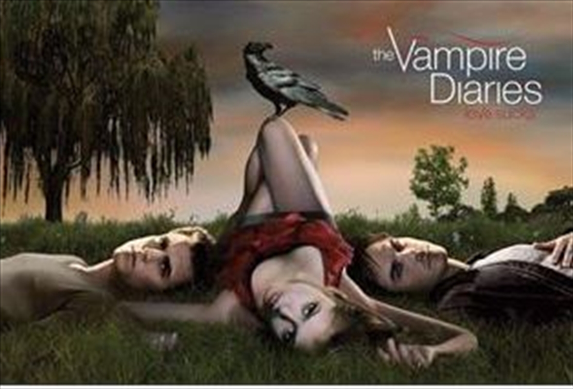Vampire Diaries - Love Sucks Park/Product Detail/Posters & Prints
