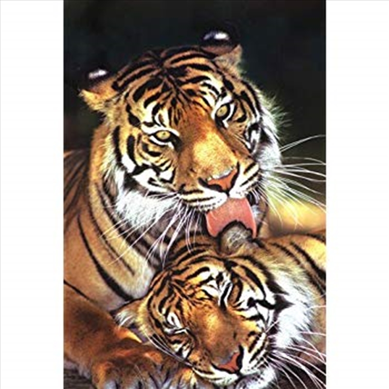 Tiger - Mothers Love/Product Detail/Posters & Prints