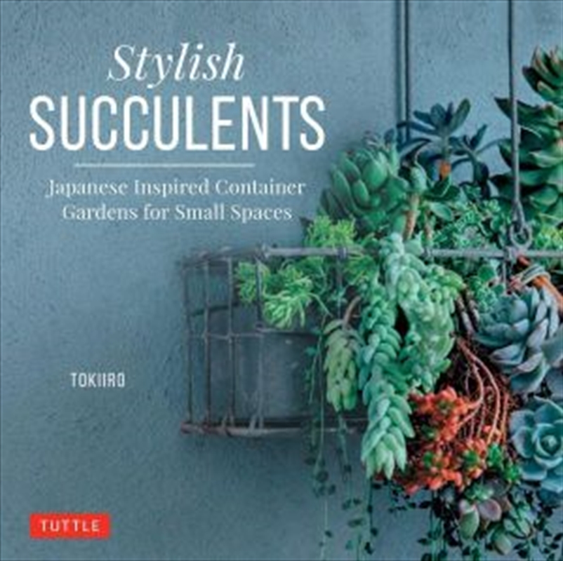 Stylish Succulents Japanese Inspired Container Gardens for Small Spaces/Product Detail/Gardening