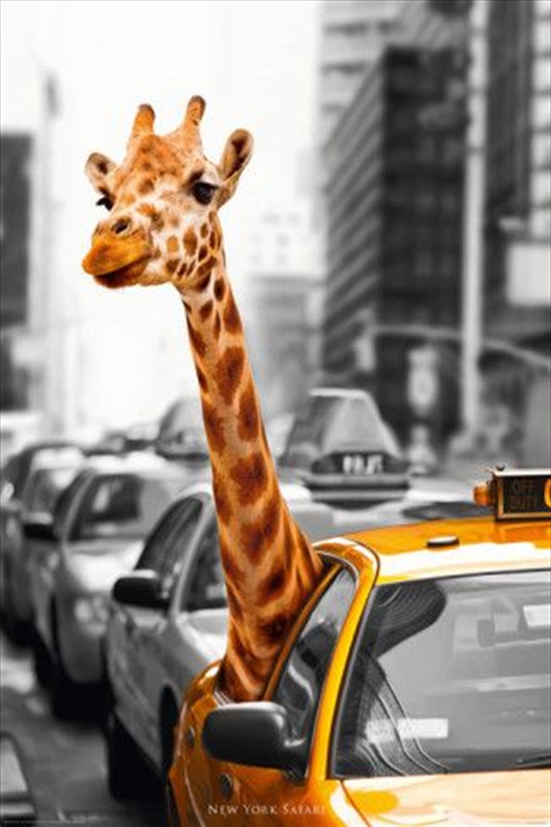 Giraffe-Nyc Taxi Cab/Product Detail/Posters & Prints