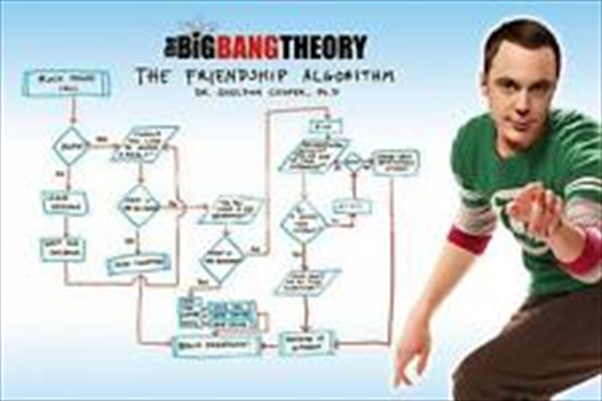 Big Bang Theory -Friendship Algorithm/Product Detail/Posters & Prints