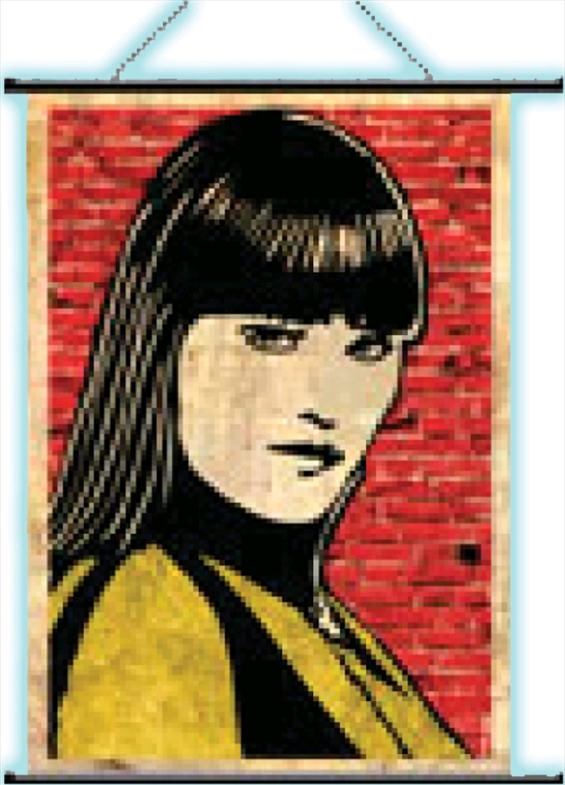 Watchmen - Wall Scroll Silk Spectre Pop Art/Product Detail/Posters & Prints