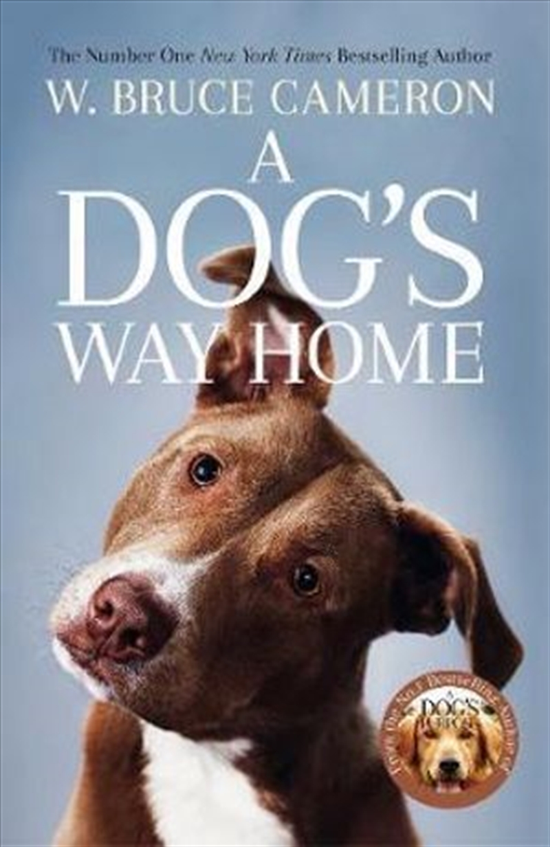 A Dog's Way Home/Product Detail/Reading