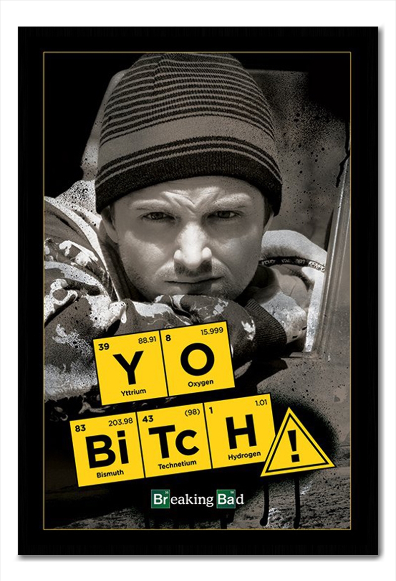 Breaking Bad - Yo Bitch!/Product Detail/Posters & Prints