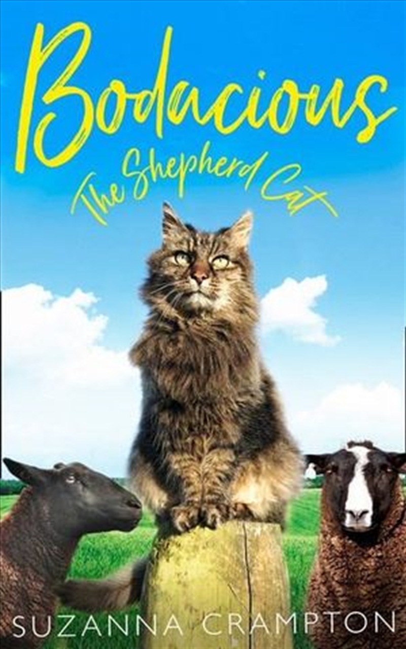 Bodacious: The Shepherd Cat/Product Detail/Animals & Nature